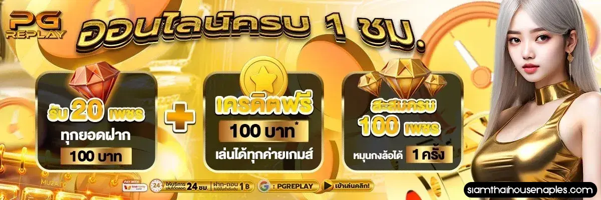 ทางเข้า pgreplay